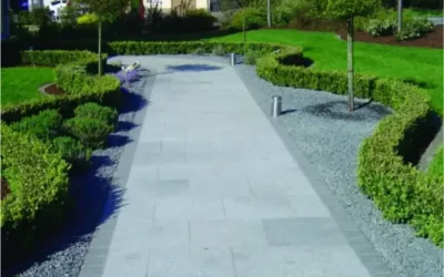 484826932_1477696823461859_1057948389718413873_n