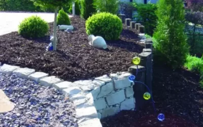 484851285_1477696893461852_1904637414659519656_n